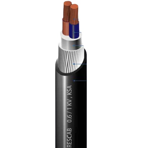 4 sq mm Two Core 0.6/1kV Stranded Copper Cable, SWA Armored, PVC Insulation, 1000m Length | RESCAB