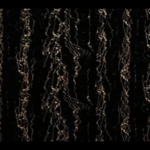 بديل رخام صيني لواجهات المجالس مستطيل 280 × 122 سم لون اسود بعروق ذهبي | خط  الفخامة