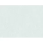 Dutch Plain Wall Covering Size 10m x 0.53m, Light Green Color, Model 220872