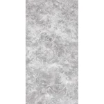 Porcelain floor tiles, 11 mm thick, 80 x 160 cm, silver |  Exa Company