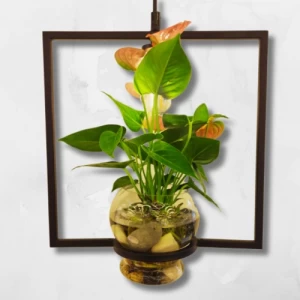 Hanging Plant Holder with Light, 33 cm Height, 30 cm Width, Elegant Design | Matkel Store
