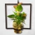 Hanging Plant Holder with Light, elegant , 33 cm Height, 30 cm Width