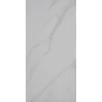 Ceramic Tiles, 2073 – BI Model, Size 60×30 cm, Indian, HL Color