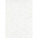 ورق جدران الماني تصميم نقشات مقاس 10 ×0.53 متر، موديل 10330-01، لون ابيض