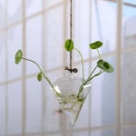 علاقي زرع بإضاءة، ارتفاع 12 سم، عرض 9 سم