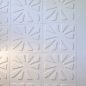 3D Wall Panels 50x50 cm White Color, Model Caryotes | 