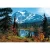Wall mural for decoration forests design, Size 366cm × 254 cm, green color