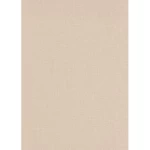 German Wall Decoration, Beige Color, Length 10 m, Width 0.53 m, Model 10215-05
