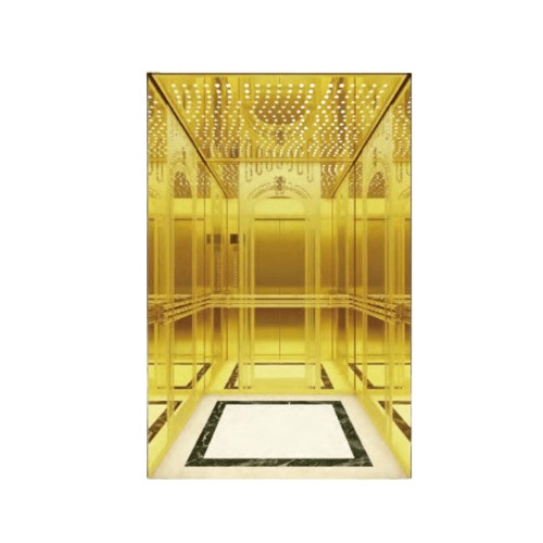 Indoor Passenger Elevator 630 KG Load, 8 Persons, 1 m/s Speed, Mirror Wall, PVC Flooring | TKJ630/1.0