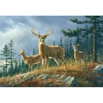 Mural image tropical design, size 366cm × 254 cm, green color