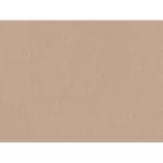 Plain wallpaper, beige color, length 10 m, width 0.53 m, model number 221411
