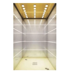 Machine Roomless Passenger Elevator 8 Persons 630 kg Load 1.5 m/s Bronze Design | TKJW630/1.5-11