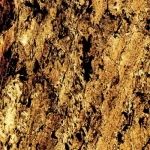 Illuminated Stone Veneers, Size 122x61cm, Blended Colors, Model Code SVW-VT003
