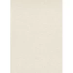 ورق جدراي سادة لون بيج، طول 10 م، عرض 0.53 م، موديل 1026226  