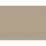 ورق جداري سادة لون بيج، طول 10 م، عرض 0.53 م، رقم الموديل 221425