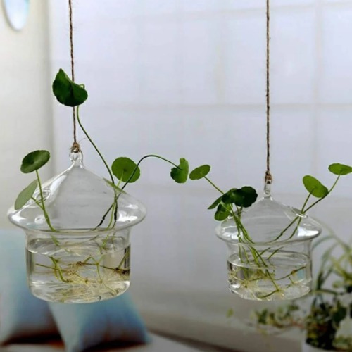 Hanging Plant Holder with Light 10 cm Height, 10 cm Width, Modern Design | Matkel Store