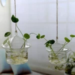 علاقي زرع بإضاءة تصميم عصري، ارتفاع 10 سم، عرض 10 سم