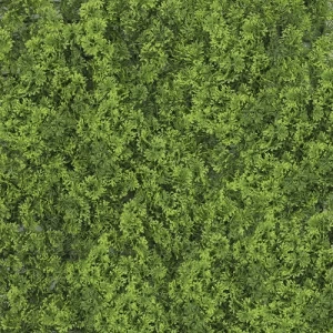 لوح عشب 2D لديكور الحوائط، 50×50 سم، لون اخضر | 