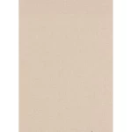 Plain wallpaper, dark beige color, length 10 m, width 0.53 m, model 1021525 