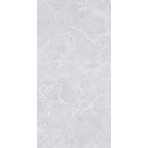 Porcelain Floor Tiles 60x120 cm Thickness 11 mm Silver Color | Exa Alfanar