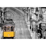 Wall mural for decor cities design, Size 366 cm × 254 cm, gray color