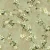 American Wallpaper Green Color Floral Design, Size 10mx0.53m, Model TB4218