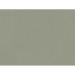 ورق جدران سادة لون اخضر، طول 10 م، عرض 0.53 م، رقم الموديل 221414