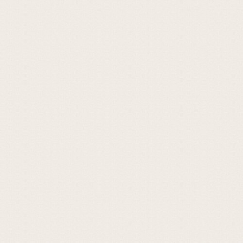 Plain Wall Decoration Length 10m, Creamy Color | Balbaid Decor Company
