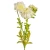 Artificial Manila flower for decoration, white color, height 66 cm