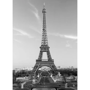 Mural Image Cities Design 183×254 cm, Gray Color | Balbaid Decor Company