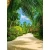 Wall mural for decoration tropical design, size 183×254 cm, green color