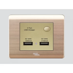 Double USB Socket 7x7 cm, Gold Color | Art DNA