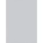 ورق جدران الماني مقاس 10 م×0.53 م، لون رمادي، موديل 31-10080