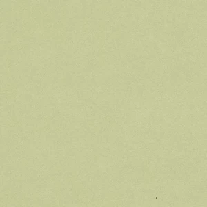 ورق حائط الماني سادة 10 م × 0.53 م، لون اخضر، موديل 479461 | شركة بالبيد للديكور