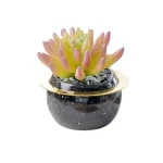 Decorative Artificial Plant for Indoor Use, 12 cm Height, width 8 cm, multi colors 