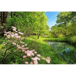 Wall Mural Tropical Design 366cm × 254cm Green | Balbaid Decor Company