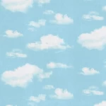 ورق حائط تصميم كلاسيك، لون سماوي مع ابيض، مقاس 15.6 م×106 سم