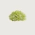 Hydrangea Flowers, Apple Green Color, Size 25x25 cm
