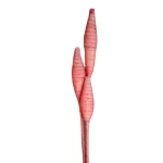 ورد صناعى ديكورى تويكسا، لون وردى، مقاس 100 سم