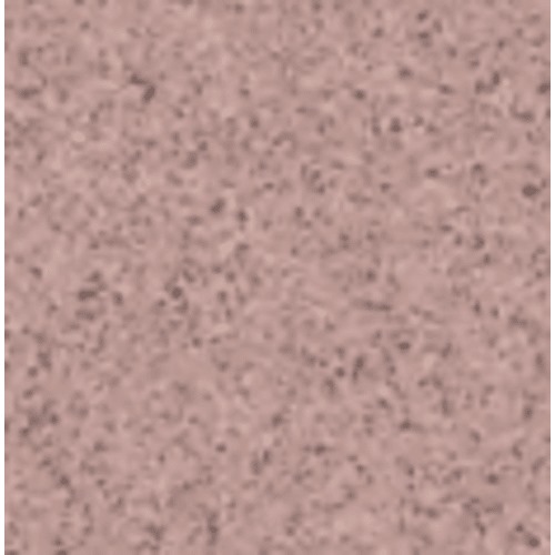 Porcelain Floors 30x30 cm, Rose Color, Granit, 9 mm Thick, Square | Future Ceramic Company