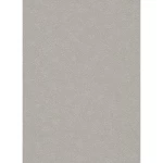 German Wallpaper, size 10m x 0.53m, Beige Color, Model 10079-02