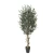 Artificial Olive Plant, Green Color, Size 150 cm 