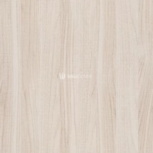 Youth and Children Wallpaper Light Brown, 10m x 0.53m, Model 246308 | Balbaid Decor Company