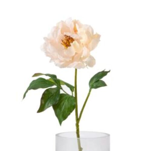 Artificial Peony Flowers 56 cm, Beige Color | 