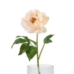 Artificial Peony Flowers, Beige Color, Size 56 cm 