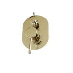 خلاط دش باتجاهين ، الطول 12.4 سم العرض 18 سم الارتفاع 13 سم ، الضغط 15 بار ، لون ذهبي لامع