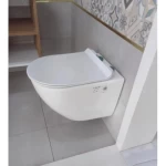 Matt White Wall Mounted Toilet, Size 18 cm, Round Shape