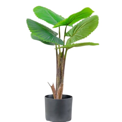 Artificial Gazola Plant 80 cm Height Green Color | 