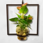 تعليقة إضاءة كلاسيكية، مقاس 33x30 سم، سلك بطول 1 متر