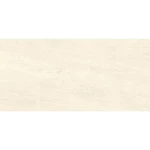 سيراميك ارضيات مطفي مستطيل الشكل سماكة 14 ملي 30×60 سم، بيج | سيراميك الرياض